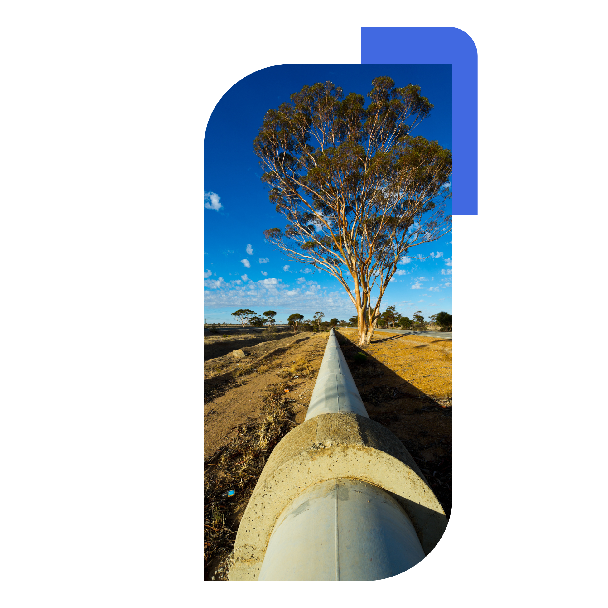 Untitled design (25)