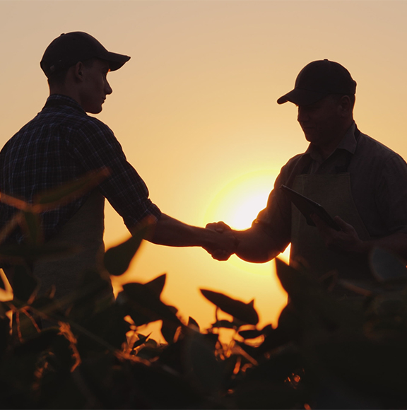 What-IPA-Members-Can-Access